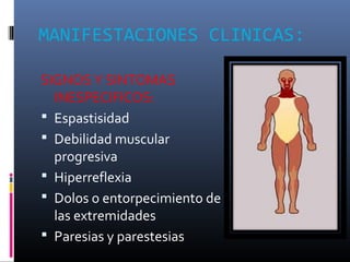 MANIFESTACIONES CLINICAS:
SIGNOS Y SINTOMAS
INESPECIFICOS:
 Espastisidad
 Debilidad muscular
progresiva
 Hiperreflexia
 Dolos o entorpecimiento de
las extremidades
 Paresias y parestesias
 