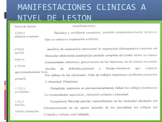 MANIFESTACIONES CLINICAS A
NIVEL DE LESION
 