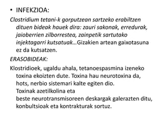 • INFEKZIOA:
Clostridium tetani-k gorputzean sartzeko erabiltzen
dituen bideak hauek dira: zauri sakonak, erredurak,
jaioberrien zilborrestea, zainpetik sartutako
injektagarri kutsatuak…Gizakien artean gaixotasuna
ez da kutsatzen.
ERASOBIDEAK:
Klostridioek, ugaldu ahala, tetanoespasmina izeneko
toxina ekoizten dute. Toxina hau neurotoxina da,
hots, nerbio sistemari kalte egiten dio.
Toxinak azetilkolina eta
beste neurotransmisoreen deskargak galerazten ditu,
konbultsioak eta kontrakturak sortuz.
 