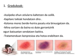 1. Gradukoak:
-Azalpeko ehun zelularra kaltetzen da soilik.
-Kapilare txikiak hondatzen dira .
-Kolorea morez berde-horira pasatu eta birxurgatzen da.
-Mina sortzen da baina ez dute garrantzirik
egun batzuetan sendatzen baitira.
-Tratamenduan konpresioa eta hotza erabiltzen da.
 