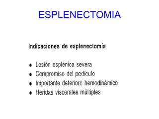ESPLENECTOMIA 