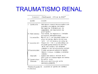 TRAUMATISMO RENAL 