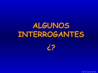 ALGUNOS INTERROGANTES ¿? Prof. Dr. Luis del Rio Diez 