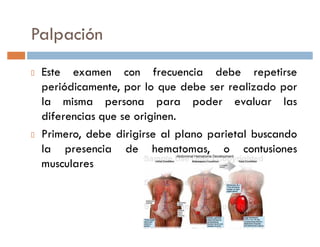 Palpación
 Este examen con frecuencia debe repetirse
 periódicamente, por lo que debe ser realizado por
 la misma persona para poder evaluar las
 diferencias que se originen.
 Primero, debe dirigirse al plano parietal buscando
 la presencia de hematomas, o contusiones
 musculares
 