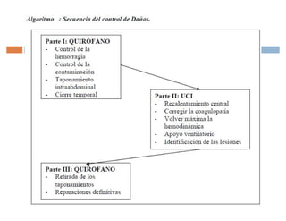 Traumatismosdeabdomen 110614045808-phpapp02