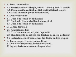  A. Zona trocantérica: 
 A1: Intertrocantérica simple, cortical lateral y medial simple. 
A2: Conminución cortical medial, cortical lateral simple. 
A3: Trazo invertido (no subtrocánterico). 
 B. Cuello de fémur: 
 B1: Cuello de fémur en abducción. 
B2: Cuello de fémur, cizallamiento vertical. 
B3: Cuello de fémur en adducción. 
 C. Cabeza femoral: 
 C1: Avulsión medial. 
C2: Cizallamiento vertical, con depresión. 
C3: Hundimiento de cabeza con fractura de cuello de fémur. 
 Y a las fracturas subtrocantéricas las divide en tres grupos: 
 A. Trazo simple, transverso u oblicuo. 
B. Con tercer fragmento, interno o externo. 
C. Segmentaria, cuatro o más fragmentos. 
 