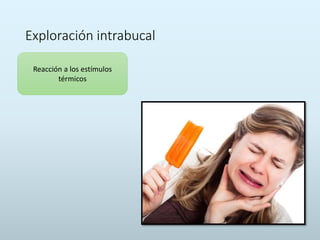 Exploración intrabucal
Reacción a los estímulos
térmicos
 