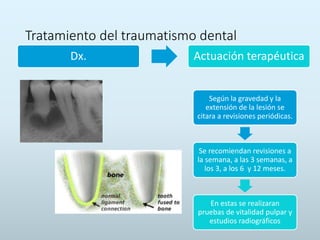 Tratamiento del traumatismo dental
Dx. Actuación terapéutica
Según la gravedad y la
extensión de la lesión se
citara a revisiones periódicas.
Se recomiendan revisiones a
la semana, a las 3 semanas, a
los 3, a los 6 y 12 meses.
En estas se realizaran
pruebas de vitalidad pulpar y
estudios radiográficos
 