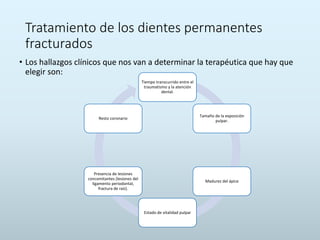Tratamiento de los dientes permanentes
fracturados
• Los hallazgos clínicos que nos van a determinar la terapéutica que hay que
elegir son:
Tiempo transcurrido entre el
traumatismo y la atención
dental.
Tamaño de la exposición
pulpar.
Madurez del ápice
Estado de vitalidad pulpar
Presencia de lesiones
concomitantes (lesiones del
ligamento periodontal,
fractura de raíz).
Resto coronario
 