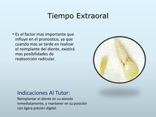 Tiempo Extraoral
• Es el factor mas importante que
influye en el pronostico, ya que
cuando mas se tarde en realizar
el reimplante del diente, existirá
mas posibilidades de
reabsorción radicular.
Indicaciones Al Tutor:
Reimplantar el diente en su alveolo
inmediatamente, y mantener en su posición
con ligera presión digital.
 