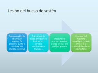 Lesión del hueso de sostén
Comunicación de
la cavidad
alveolar. Se
presenta junto a
una luxación
lateral o intrusiva
Fractura de la
pared alveolar: se
limita a las
paredes
vestibulares o
linguales
Fractura del
proceso alveolar:
puede afectar a la
cavidad alveolar
Fractura del
maxilar o
mandíbula: puede
afectar a la
cavidad alveolar o
no afectarla
 