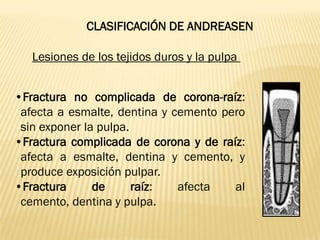 traumatismos dentoalveolares y clasificacion de andreasen(5).pdf