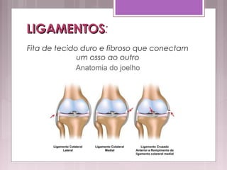 LIGAMENTOSLIGAMENTOS:
Fita de tecido duro e fibroso que conectam
um osso ao outro
 