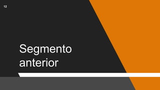 Segmento
anterior
12
 
