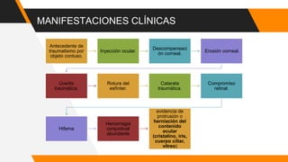 MANIFESTACIONES CLÍNICAS
Antecedente de
traumatismo por
objeto contuso.
Inyección ocular.
Descompensaci
ón corneal.
Erosión corneal.
Uveítis
traumática.
Rotura del
esfínter.
Catarata
traumática.
Compromiso
retinal.
Hifema
Hemorragia
conjuntival
abundante
evidencia de
protrusión o
herniación del
contenido
ocular
(cristalino, iris,
cuerpo ciliar,
vítreo)
 