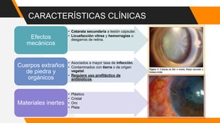 CARACTERÍSTICAS CLÍNICAS
• Catarata secundaria a lesión capsular.
• Licuefacción vítrea y hemorragias o
desgarros de retina.
Efectos
mecánicos
• Asociados a mayor tasa de infección.
• Contaminados con tierra o de origen
vegetal.
• Requiere uso profiláctico de
antibióticos.
Cuerpos extraños
de piedra y
orgánicos
• Plástico
• Cristal
• Oro
• Plata
Materiales inertes
 
