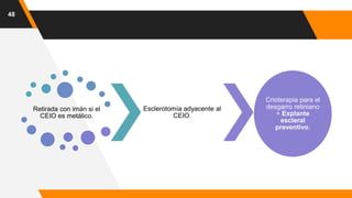 48
Retirada con imán si el
CEIO es metálico.
Esclerotomía adyacente al
CEIO.
Crioterapia para el
desgarro retiniano
+ Explante
escleral
preventivo.
 