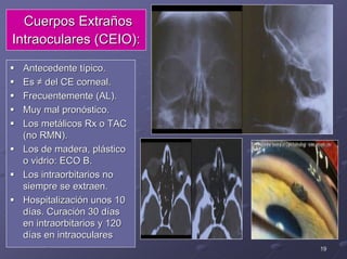 Lesiones traumáticas del polo posterior. | PPT