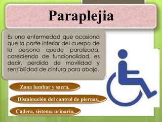 Paraplejia
Cadera, sistema urinario.
Disminución del control de piernas.
Zona lumbar y sacra.
Es una enfermedad que ocasiona
que la parte inferior del cuerpo de
la persona quede paralizada,
careciendo de funcionalidad, es
decir, perdida de movilidad y
sensibilidad de cintura para abajo.
 