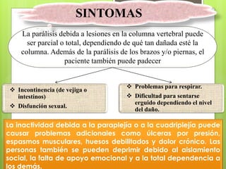 La parálisis debida a lesiones en la columna vertebral puede
ser parcial o total, dependiendo de qué tan dañada esté la
columna. Además de la parálisis de los brazos y/o piernas, el
paciente también puede padecer
 Problemas para respirar.
 Dificultad para sentarse
erguido dependiendo el nivel
del daño.
 Incontinencia (de vejiga o
intestinos)
 Disfunción sexual.
SINTOMAS
La inactividad debida a la paraplejía o a la cuadriplejía puede
causar problemas adicionales como úlceras por presión,
espasmos musculares, huesos debilitados y dolor crónico. Las
personas también se pueden deprimir debido al aislamiento
social, la falta de apoyo emocional y a la total dependencia a
los demás.
 