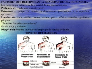 FACTORES QUE DETERMINAN LA GRAVEDAD DE UNA QUEMADURA Los factores que determinan la gravedad de una quemadura son: Profundidad:  condiciona la cicatrización. Extensión:  el peligro de muerte es directamente proporcional a la superficie quemada. Localización:  cara, cuello, mamas, manos, pies, orificios naturales, genitales, pliegues. “ Estas son llamadas áreas críticas” Edad:  niños y ancianos. Riesgos de infección:  se produce siempre por la pérdida de la piel. TIPOS DE QUEMADURAS 