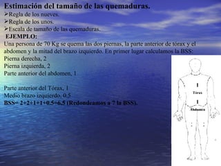 Estimación del tamaño de las quemaduras. Regla de los nueves. Regla de los unos. Escala de tamaño de las quemaduras. EJEMPLO: Una persona de 70 Kg se quema las dos piernas, la parte anterior de tórax y el abdomen y la mitad del brazo izquierdo. En primer lugar calculamos la BSS: Pierna derecha, 2 Pierna izquierda, 2 Parte anterior del abdomen, 1 Parte anterior del Tórax, 1 Medio brazo izquierdo, 0.5 BSS= 2+2+1+1+0.5=6,5 (Redondeamos a 7 la BSS). 1 1 1 1 Tórax 1 Abdomen 2 2 