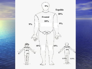 9% 9% 9% Frontal 18% 1% Espalda 18% 18% 18% 18% Espalda 18% Frontal 18% 1% 13.5% 13.5% 