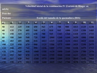 Velocidad inicial de la reanimación IV (Lactato de Ringer en ml)/h)  Peso del  Paciente  Escala del tamaño de la quemadura (BSS) Kg  1  2  3  4  5  6  7  8  9  10  11 990 1238 1485 1733 1980 2228 2475 2723 2970 3218 3465 3713 900 1125 1350 1575 1800 2025 2250 2475 2700 2925 3150 3375 810 1013 1215 1418 1620 1823 2025 2228 2430 2633 2835 3038 720 900 1080 1260 1440 1620 1800 1980 2160 2340 2520 2700 630 788 945 1103 1260 1418 1575 1733 1890 2048 2205 2363 540 675 810 945 1080 1215 1350 1485 1620 1755 1890 2025 450 563 675 788 900 1013 1125 1238 1350 1463 1575 1688 360 450 540 630 720 810 900 990 1080 1170 1260 1350 270 338 405 473 540 608 675 743 810 878 945 1013 180 225 270 315 360 405 450 495 540 585 630 675 90 113 135 158 180 203 225 248 270 293 315 338 40 50 60 70 80 90 100 110 120 130 140 150 