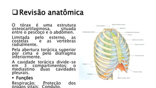 Revisão anatômica
O tórax é uma estrutura
osteocartilaginosa, situada
entre o pescoço e o abdômen.
Limitada pelo esterno,...