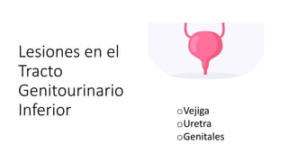 Lesiones en el
Tracto
Genitourinario
Inferior oVejiga
oUretra
oGenitales
 