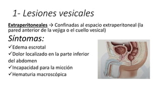 1- Lesiones vesicales
Extraperitoneales → Confinadas al espacio extraperitoneal (la
pared anterior de la vejiga o el cuello vesical)
Síntomas:
Edema escrotal
Dolor localizado en la parte inferior
del abdomen
Incapacidad para la micción
Hematuria macroscópica
 