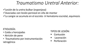Traumatismo Uretral Anterior:
Lesión de la uretra bulbar (esponjosa)
Asociadas con lesión perineal en silla de montar
La sangre se acumula en el escroto → hematoma escrotal, equimosis
ETIOLOGÍA:
• Caída a horcajadas
• Atrición de pene
• Traumatismo por instrumentación
iatrogénica
.
TIPOS DE LESIÓN:
 Contusión
 Laceración
 Perforación
 