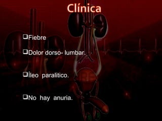 Fiebre

Dolor dorso- lumbar.


Íleo paralitico.


No hay anuria.
 