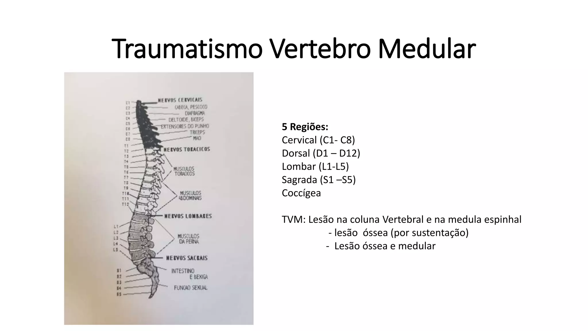 Vertebrogram Traumatismo Vertebro Medular.pptx