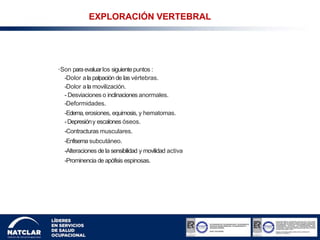 •Son paraevaluarlos siguientepuntos :
-Dolor ala palpación de las vértebras.
-Dolor a la movilización.
- Desviaciones o inclinaciones anormales.
-Deformidades.
-Edema,erosiones, equimosis, y hematomas.
-Depresióny escalones óseos.
-Contracturas musculares.
-Enfisema subcutáneo.
-Alteraciones de la sensibilidad y movilidad activa
-Prominencia de apófisis espinosas.
EXPLORACIÓN VERTEBRAL
 