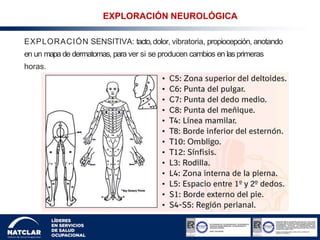 EXPLORACIÓN SENSITIVA: tacto,dolor, vibratoria, propiocepción, anotando
en un mapa de dermatomas, para ver si se producen cambios en las primeras
horas.
EXPLORACIÓN NEUROLÓGICA
 