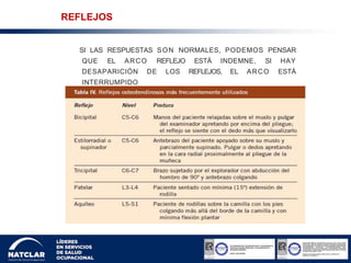 REFLEJOS
SI LAS RESPUESTAS SON NORMALES, PODEMOS PENSAR
QUE EL ARCO REFLEJO ESTÁ INDEMNE, SI HAY
DESAPARICIÓN DE LOS REFLEJOS, EL ARCO ESTÁ
INTERRUMPIDO
 