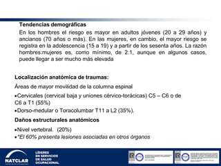 Tendencias demográficas
En los hombres el riesgo es mayor en adultos jóvenes (20 a 29 años) y
ancianos (70 años o más). En las mujeres, en cambio, el mayor riesgo se
registra en la adolescencia (15 a 19) y a partir de los sesenta años. La razón
hombres:mujeres es, como mínimo, de 2:1, aunque en algunos casos,
puede llegar a ser mucho más elevada
Localización anatómica de traumas:
Áreas de mayor movilidad de la columna espinal
Cervicales (cervical baja y uniones cérvico-torácicas) C5 – C6 o de
C6 a T1 (55%)
Dorso-medular o Toracolumbar T11 a L2 (35%).
Daños estructurales anatómicos
Nivel vertebral. (20%)
*El 60% presenta lesiones asociadas en otros órganos
 