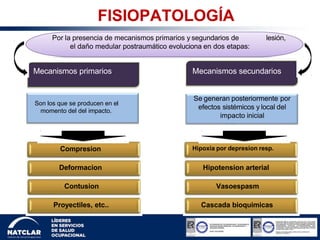 FISIOPATOLOGÍA
Por la presencia de mecanismos primarios y segundarios de lesión,
el daño medular postraumático evoluciona en dos etapas:
Mecanismos primarios Mecanismos secundarios
Compresion
Deformacion
Contusion
Proyectiles, etc..
Hipoxia por depresion resp.
Hipotension arterial
Vasoespasm
o
Cascada bioquimicas
Se generan posteriormente por
efectos sistémicos y local del
impacto inicial
Son los que se producen en el
momento del del impacto.
 