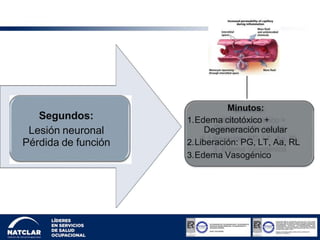 Segundos:
Lesión neuronal
Pérdida de función
Minutos:
1.Edema citotóxico +
Degeneración celular
2.Liberación: PG, LT, Aa, RL
3.Edema Vasogénico
 