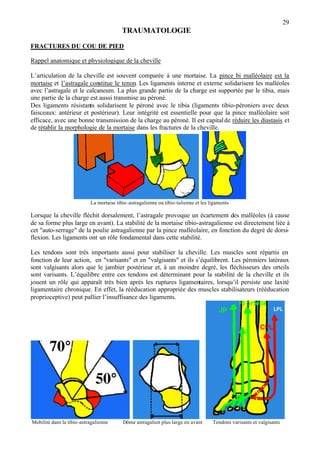 29
TRAUMATOLOGIE
FRACTURES DU COU DE PIED
Rappel anatomique et physiologique de la cheville
L’articulation de la cheville est souvent comparée à une mortaise. La pince bi malléolaire est la
mortaise et l’astragale constitue le tenon. Les ligaments interne et externe solidarisent les malléoles
avec l’astragale et le calcaneum. La plus grande partie de la charge est supportée par le tibia, mais
une partie de la charge est aussi transmise au péroné.
Des ligaments résistants solidarisent le péroné avec le tibia (ligaments tibio-péroniers avec deux
faisceaux: antérieur et postérieur). Leur intégrité est essentielle pour que la pince malléolaire soit
efficace, avec une bonne transmission de la charge au péroné. Il est capitalde réduire les diastasis et
de rétablir la morphologie de la mortaise dans les fractures de la cheville.
La mortaise tibio -astragalienne ou tibio-talienne et les ligaments
Lorsque la cheville fléchit dorsalement, l’astragale provoque un écartement des malléoles (à cause
de sa forme plus large en avant). La stabilité de la mortaise tibio-astragalienne est directement liée à
cet "auto-serrage" de la poulie astragalienne par la pince malléolaire, en fonction du degré de dorsi-
flexion. Les ligaments ont un rôle fondamental dans cette stabilité.
Les tendons sont très importants aussi pour stabiliser la cheville. Les muscles sont répartis en
fonction de leur action, en "varisants" et en "valgisants" et ils s’équilibrent. Les péroniers latéraux
sont valgisants alors que le jambier postérieur et, à un moindre degré, les fléchisseurs des orteils
sont varisants. L’équilibre entre ces tendons est déterminant pour la stabilité de la cheville et ils
jouent un rôle qui apparaît très bien après les ruptures ligamentaires, lorsqu’il persiste une laxité
ligamentaire chronique. En effet, la rééducation appropriée des muscles stabilisateurs (rééducation
proprioceptive) peut pallier l’insuffisance des ligaments.
Mobilité dans la tibio-astragalienne Dôme astragalien plus large en avant Tendons varisants et valgisants
 