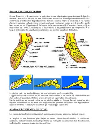 3
RAPPEL ANATOMIQUE DU PIED
Organe de support et de mouvement, le pied est un organe très structuré, caractéristique de l’espèce
humaine. Sa fonction statique est bien étudiée mais sa fonction dynamique est encore difficile à
comprendre. L’architecture du pied comprend 3 arches : interne, externe et antérieure. Il y a 3 zones
d’appui principales. Le bord externe présente une bande continue en contact avec le sol, alors que le
bord interne n’a pas d’appui central. La hauteur de la voûte est variable d’un sujet à l’autre et elle se
modifie lors de l’appui. Le sommet de la voûte résiste à de grandes forces de compression. Â la
base de cette voûte, il y a des ligaments plantaires qui résistent aux efforts de traction.
Le pied est vu ici par son bord interne, les trois arches sont tracées en pointillés
L’appui antérieur est constitué par les têtes des 5 métatarsiens et les orteils. Le talon est constitué
d’un seul os, le calcanéum. De face, le talon présente un léger valgus physiologique.
L'arche antérieure est surtout visible sur un pied en décharge. Lors de l'appui, toutes les têtes
reposent normalement au sol mais elles supportent des pressions différentes. Une hyperpression
localisée anormale se traduit par un durillon qui se développe à ce niveau.
ANATOMIE DE SURFACE – PALPATION
Les repères de la palpation sont des reliefs anatomiques osseux ou tendineux, faciles à trouver.
A / Repères du bord interne du pied, d'avant en arrière : tête du 1er métatarsien, 1er cunéiforme,
scaphoïde, malléole interne, tubercule postérieur de l'astragale, sustentaculum tali du calcaneum,
tendon jambier antérieur, tendon jambier postérieur.
 