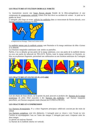 34
LES FRACTURES EN FLEXION DORSALE FORCÉE
Le traumatisme associe une hyper flexion dorsale brutale de la tibio-astragalienne et une
composante de compression verticale (chute d’un lieu élevé ou accident de voiture : le pied sur la
pédale de frein).
L’astragale, plus large en avant, sollicite les malléoles dans ce mouvement de flexion dorsale, avec
fracture marginale antérieure du tibia.
Compression au freinage Chute sur le talon en FD
La malléole interne puis la malléole externe sont fracturées et la marge antérieure du tibia s’écrase
et se détache.
Les fractures marginales antérieures sont totales ou partielles.
Parfois, il ne se détache qu’une partie de la marge antérieure, avec une partie de la malléole interne
ou avec une partie du tubercule de TILLAUX. Parfois, toute la marge antérieure est fracturée, en
bloc ou en plusieurs fragments, permettant une subluxation ou une luxation antérieure de l’astragale
en avant.
LES FRACTURES EN FLEXI ON PLANTAIRE
Lors de chutes de lieux élevés, sur la pointe du pied, peuvent se produire des fractures de la marge
postérieure du pilon tibial associées à des fractures des malléoles : soit fracture marginale
parcellaire, soit fracture marginale totale (fracture de CUNEO et PICOT).
LES FRACTURES EN COMPRESSION
Les fractures bi-marginales. Il y a deux fragments principaux subdivisés souvent par des traits de
refend.
Les fractures complexes sont très déplacées. L’astragale peut se «luxer » vers l’avant ou vers
l’arrière en accompagnant l’une ou l’autre des marges. L’astragale peut aussi s’impacter entre les
deux marges.
Le péroné est toujours fracturé.
La fracture de la malléole interne est verticale.
 