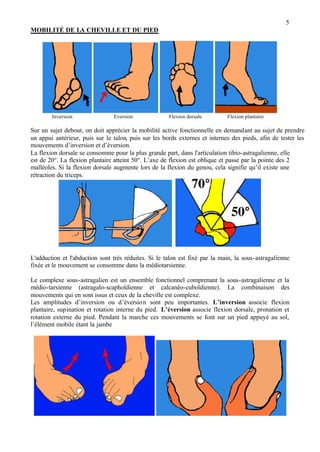 5
MOBILITÉ DE LA CHEVILLE ET DU PIED
Inversion Eversion Flexion dorsale Flexion plantaire
Sur un sujet debout, on doit apprécier la mobilité active fonctionnelle en demandant au sujet de prendre
un appui antérieur, puis sur le talon, puis sur les bords externes et internes des pieds, afin de tester les
mouvements d’inversion et d’éversion.
La flexion dorsale se consomme pour la plus grande part, dans l'articulation tibio-astragalienne, elle
est de 20°. La flexion plantaire atteint 50°. L’axe de flexion est oblique et passe par la pointe des 2
malléoles. Si la flexion dorsale augmente lors de la flexion du genou, cela signifie qu’il existe une
rétraction du triceps.
L'adduction et l'abduction sont très réduites. Si le talon est fixé par la main, la sous-astragalienne
fixée et le mouvement se consomme dans la médiotarsienne.
Le complexe sous-astragalien est un ensemble fonctionnel comprenant la sous-astragalienne et la
médio-tarsienne (astragalo-scaphoïdienne et calcanéo-cuboïdienne). La combinaison des
mouvements qui en sont issus et ceux de la cheville est complexe.
Les amplitudes d’inversion ou d’éversion sont peu importantes. L’inversion associe flexion
plantaire, supination et rotation interne du pied. L’éversion associe flexion dorsale, pronation et
rotation externe du pied. Pendant la marche ces mouvements se font sur un pied appuyé au sol,
l’élément mobile étant la jambe
 
