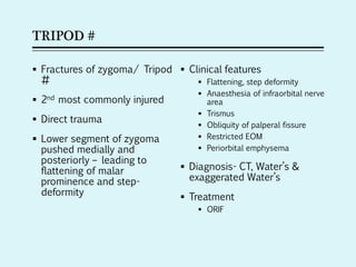 TRIPOD #
 Fractures of zygoma/ Tripod
#
 2nd most commonly injured
 Direct trauma
 Lower segment of zygoma
pushed medially and
posteriorly – leading to
flattening of malar
prominence and step-
deformity
 Clinical features
 Flattening, step deformity
 Anaesthesia of infraorbital nerve
area
 Trismus
 Obliquity of palperal fissure
 Restricted EOM
 Periorbital emphysema
 Diagnosis- CT, Water’s &
exaggerated Water’s
 Treatment
 ORIF
 