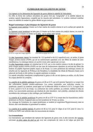 28
PATHOLOGIE DES LIGAMENTS DU GENOU
Les ruptures ou les distensions des ligaments du genou altèrent la stabilité de l'articulation.
En effet, la forme des surfaces articulaires du genou n'est pas "congruente" et la stabilité dépend du
système capsulo-ligamentaire, complété par les muscles péri articulaires. Le système méniscal contribue
aussi à la stabilité en rendant les glènes tibiales un peu concaves.
Rappel anatomique et physiologique des ligaments du genou
Le ligament croisé antérieur s'insère sur la face interne du condyle externe et sur la surface pré spinale du
tibia.
Le ligament croisé postérieur est plus gros, il s'insère sur la face externe du condyle interne, en avant de
l'échancrure et il s'insère en arrière sur le tibia, sur la surface rétro spinale.
Le LCA vu par une coupe sagittale Vue arthroscopique du LCA Le LCP
Le plan ligamentaire interne est constitué du LLI profond et du LLI superficiel avec, en arrière, le point
d'angle postéro-interne (PAPI), qui est un renforcement capsulaire avec des fibres du tendon du semi
membranosus. Le ménisque interne est accolé à toute cette capsule par son mur.
Le plan ligamentaire externe est constitué par le LLE, qui va du condyle externe à la tête du péroné. Le
point d'angle postéro-externe (PAPE) est une zone de renforcement capsulaire où arrivent des fibres des
tendons du poplité (ligament poplité arqué) et du biceps. La corne postérieure du ménisque externe est
attachée par les ligaments de Wriberg et de Humphrey. La bandelette ilio-tibiale de Maissiat s'insère sur le
tubercule de Gerdy et elle renforce la capsule antérieure et externe.
La capsule articulaire manchonne complètement le genou et elle est très épaisse en arrière, où elle forme
les coques derrière les condyles.
Le contrôle de la stabilité antérieure du genou est dû au LCA, qui est le premier ligament à se rompre lors
des sollicitations brutales postéro-antérieures. Les cornes méniscales sont sollicitées ensuite. Le
quadriceps, quand il se contracte, prend appui sur la tubérosité tibiale et sollicite le LCA, il exagère donc
le tiroir, quand le LCA est rompu. La contraction des ischio-jambiers, au contraire, stabilise le tibia en
arrière. Les mouvements anormaux qui résultent de cette translation mal contrôlée, entraînent des lésions
secondaires des ménisques et des cartilages, par cisaillement.
Le contrôle de la stabilité postérieure du genou est dû au LCP. Il se rompt dans les traumatismes antéro-
postérieurs en flexion. Il apparaît alors un tiroir postérieur de 10 mm, au moins.
Au voisinage de l'extension, les coques postérieures se tendent (et empêchent l'hyperextension), mais en
flexion, elles sont détendues et permettent la rotation.
Le contrôle de la stabilité latérale du genou est dû au LLI, pour le valgus et au LLE, pour le varus. Le
PAPI et le PAPE sont sollicités dans les mouvements de rotation.
Les traumatismes
Les traumatismes qui entraînent des ruptures des ligaments du genou sont, le plus souvent, des torsions,
survenant en plein appui du pied au sol, avec une composante de varus ou de valgus qui peut être
 