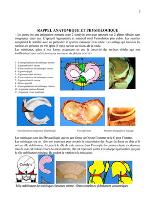 3
RAPPEL ANATOMIQUE ET PHYSIOLOGIQUE
- Le genou est une articulation portante avec 2 condyles convexes reposant sur 2 glènes tibiales sans
congruence entre eux. L’appareil ligamentaire et méniscal rend l’articulation plus stable. Les muscles
complètent la stabilité avec en particulier le système extenseur et la rotule. Le cartilage qui recouvre les
surfaces en présence est très épais (3 mm), surtout au niveau de la rotule.
Les ménisques, grâce à leur forme, accentuent un peu la concavité des surfaces tibiales qui sont
insuffisantes (voire même convexes au niveau du plateau externe)
1 - Corne postérieure du ménisque interne
2 - Ligament latéral interne
3 - Corne antérieure du ménisque interne
4 - Ligament jugal
5 - Ligament croisé antérieur
6 - Corne antérieure du ménisque externe
7 - Ligament latéral externe
8 - Hiatus poplité
9 - Corne postérieure du ménisque externe
10 - Ligament ménisco-fémoral
11 - Ligament croisé postérieur
Vascularisation uniquement périphérique Vue supérieure Structure triangulaire à la coupe
Les ménisques sont des fibrocartilages qui ont une forme de O pour l’externe et de C pour l’interne.
Les ménisques ont un rôle très important pour amortir la transmission des forces du fémur au tibia et ils
ont un rôle stabilisateur. Ils jouent le rôle de cale comme dans l’exemple du camion citerne ci- dessous,
mais la cale est mobile et lors des mouvements, elle est repoussée contre l’enveloppe ligamentaire qui joue
le rôle stabilisateur principal. Ils guident la rotation et la translation.
Rôle stabilisateur des ménisques Structure interne : fibres complexes globalement concentriques
 