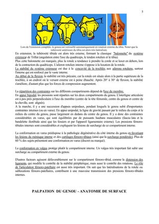 5
Lors de l'extension complète, le genou est verrouillé automatiquement en rotation externe du tibia. Noter que la
tubérosité antérieure du tibia est alors très latéralisée.
En extension, la tubérosité tibiale est alors très externe, formant la classique "baïonnette" du système
extenseur de Trillat (angulation entre l'axe du quadriceps, le tendon rotulien et le tibia).
Plus cette baïonnette est marquée, plus la rotule a tendance à prendre la corde et se luxer en dehors, lors
de la contraction du quadriceps. L'aileron rotulien interne s'oppose à la luxation de la rotule.
La stabilité du système extenseur est due à la concavité de la trochlée, aux ailerons rotuliens, surtout
l'interne qui est renforcé par le vaste interne.
Au début de la flexion, la stabilité est très précaire, car la rotule est située alors à la partie supérieure de la
trochlée, à un endroit où le versant externe est à peine ébauché. Après 20° à 30° de flexion, la stabilité
s'améliore, d'autant plus que les forces de compression augmentent.
La répartition des contraintes sur les différents compartiments dépend de l'axe du membre.
En appui bipodal, les pressions sont réparties sur les deux compartiments du genou. L'interligne articulaire
est à peu près perpendiculaire à l'axe du membre (centre de la tête fémorale, centre du genou et centre de
la cheville, sont alignés).
A la marche, il y a une succession d'appuis unipodaux, pendant lesquels le genou subit d'importantes
contraintes internes (ou en varus). En appui unipodal, la ligne de gravité passant par le milieu du corps et le
milieu du centre du genou, passe largement en dedans du centre du genou. Il y a donc des contraintes
considérables en varus, qui sont équilibrées par de puissants haubans musculaires (fascia-lata et la
bandelette iliotibiale ainsi que les fessiers et par l'appareil ligamentaire externe). Les pressions fémoro-
tibiales internes sont considérables et expliquent les lésions de surcharge de ce compartiment interne.
La conformation en varus prédispose à la pathologie dégénérative du côté interne du genou en favorisant
les lésions du ménisque interne et des cartilages fémoro-tibiaux (ainsi que la surcharge pondérale). Plus de
60 % des sujets présentent une conformation en varus (discret ou marqué).
La conformation en valgus protège plutôt le compartiment interne. Un valgus très important fait subir une
surcharge au compartiment externe du genou.
D'autres facteurs agissent défavorablement sur le compartiment fémoro-tibial, comme la distension des
ligaments, qui modifie le contrôle de la stabilité périphérique, mais aussi le contrôle des rotations. Le rôle
de l'articulation fémoro-patellaire est aussi très important. On sait que les latéralisations de la rotule ou
subluxations fémoro-patellaires, contribuent à une mauvaise transmission des pressions fémoro-tibiales
internes.
PALPATION DU GENOU - ANATOMIE DE SURFACE
 
