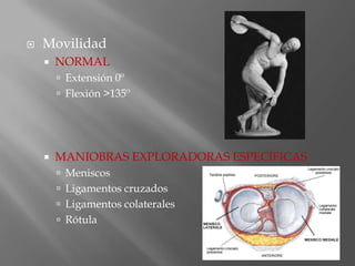    Movilidad
       NORMAL
         Extensión 0º
         Flexión >135º




       MANIOBRAS EXPLORADORAS ESPECÍFICAS
         Meniscos
         Ligamentos cruzados
         Ligamentos colaterales
         Rótula
 