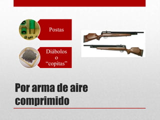 Postas


      Diábolos
         o
      “copitas”



Por arma de aire
comprimido
 
